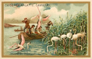 Polowanie na flamingi, Hiszpania (chromolitho) autorstwa French School
