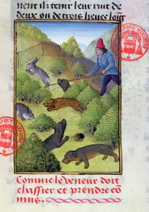 Polowanie na króliki z psami i sieciami, z Livre de la Chasse Gastona Phebusa, początek XV w. autorstwa French School