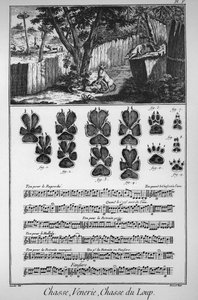 Polowanie na wilka (różne sposoby lub pułapki na wilki) - „” The Great Encyclopedie, ou Dictionnaire Raisonne des Sciences, des Arts et des Metiers”” (Encyklopedia lub słownik nauk, sztuki i zawodów) autorstwa Denisa Diderota (1713) -1784) i autorstwa French School