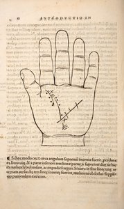 Ilustracja z Chiromancji autorstwa Joannesa Indagioe, Strasburg, 1531 (druk i grawerowanie) autorstwa French School