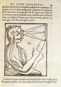 Ilustracja z De Homine Figuris autorstwa Rene Descartes (1596-1650) opublikowanej w Hadze, 1662 autorstwa French School