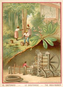 Kauczuk indyjski (chromolitho) autorstwa French School