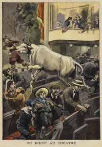 Przerwanie przedstawienia teatralnego przez byka, Villefranche-de-Lauragais, Francja, 1897