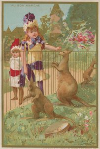 Kangury w zoo autorstwa French School