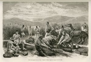 The Fishing of the Leeches, narysowany przez Sahiba, ilustrujący historię Henry