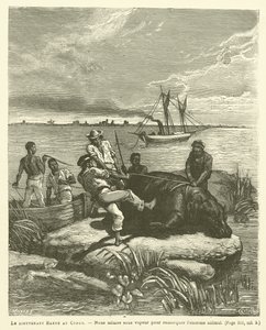 Porucznik Harou w Kongo (grawerowanie) autorstwa French School