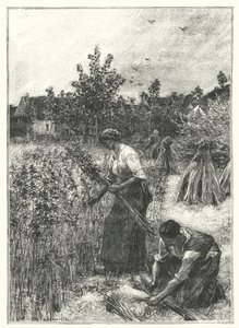 Hemp Harvest (grawerowanie) autorstwa French School