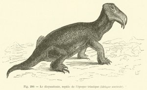 Dicynodont, gad z okresu triasu, południowa Afryka (rycina) autorstwa French School