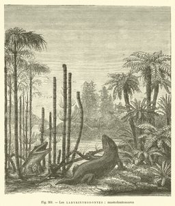 Les labyrinthodontes, mastodontosaures (grawerowanie) autorstwa French School