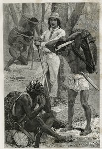 Les porters (caucheros), w Darien (region wschodniej Panamy), grawerowanie według rysunku D.Maillarta, aby zilustrować historię Eksploracja przesmyków Panamy i Darien przez A. Reclusa, porucznika statku, w latach 1876-1878 , opublikowany w tour du mo autorstwa French School