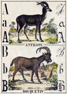 Litera A Antylopa; B Koziorożec. Grawerowanie w „Alfabet des animaux sauvages””. 9. seria. Obraz Epinal, Pellerin, drukarz-wydawca, ok. 1870 r. Ryciny na drewnie, szablon. 16 stron. Wymiary: 20 x 15 cm. Prywatna kolekcja autorstwa French School