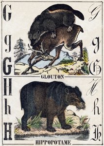 Litera G Żarłok; H Hippotam. Grawerowanie w „Alfabet des animaux sauvages””. 9. seria. Obraz Epinal, Pellerin, drukarz-wydawca, ok. 1870 r. Ryciny na drewnie, szablon. 16 stron. Wymiary: 20 x 15 cm. Prywatna kolekcja autorstwa French School