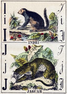 List I Indri (Lemurien); J Jaguar. Grawerowanie w „Alfabet des animaux sauvages””. 9. seria. Obraz Epinal, Pellerin, drukarz-wydawca, ok. 1870 r. Ryciny na drewnie, szablon. 16 stron. Wymiary: 20 x 15 cm. Prywatna kolekcja autorstwa French School