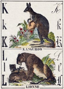 Litera K L; K Kanguro; Lwica. Grawerowanie w „Alfabet Dzikich Zwierząt”. 9. Seria. Obraz Epinal, Pellerin, drukarz-wydawca, ok. 1870 r. Ryciny na drewnie, szablonowe. 16 stron. Rozmiar: 20x15 cm. Prywatna kolekcja autorstwa French School
