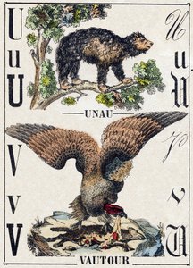 Litera U Unau (leniwa); V Sęp. Grawerowanie w „Alfabet des animaux sauvages””. 9. seria. Obraz Epinal, Pellerin, drukarz-wydawca, ok. 1870 r. Ryciny na drewnie, szablon. 16 stron. Wymiary: 20 x 15 cm. Prywatna kolekcja autorstwa French School
