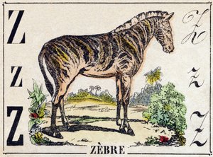 Litera Z Zebra. Grawerowanie w „Alfabet Dzikich Zwierząt”. 9. Seria. Obraz Epinal, Pellerin, drukarz-wydawca, ok. 1870 r. Ryciny na drewnie, szablonowe. 16 stron. Rozmiar: 20x15 cm. Prywatna kolekcja autorstwa French School