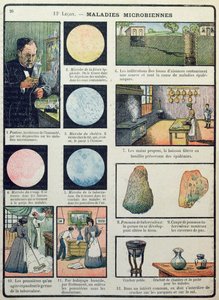 Louis Pasteur (1822-95) i choroby bakteryjne, z Les Sciences Physiques et Naturelles, Paryż, 1908 autorstwa French School