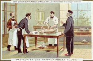 Louis Pasteur (1822-95) pracujący nad dochodzeniem w sprawie odry, karta reklamowa dla Chocolaterie dAiguebelle