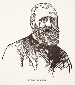 Louis Ranvier autorstwa French School
