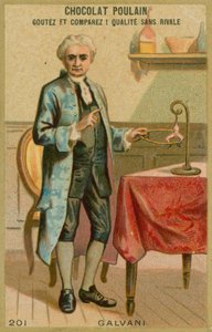 Luigi Galvani autorstwa French School