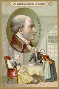 Luigi Galvani, włoski lekarz i fizyk autorstwa French School