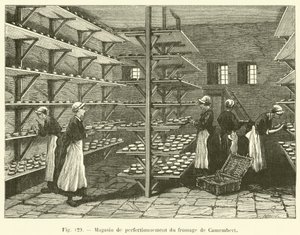 Ulepszacz serów Camembert (grawerowanie) autorstwa French School