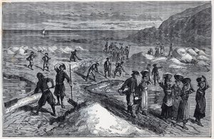 Marais salants de Bretagne w XIX wieku - Grawer w „Naukach wdzięcznych stypendystom - fizyka i chemia” autorstwa Alexisa Clerca - Koniec XIX wieku - Kolekcja prywatna autorstwa French School