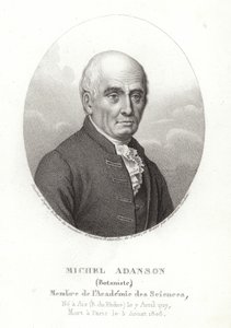 Michel Adanson autorstwa French School