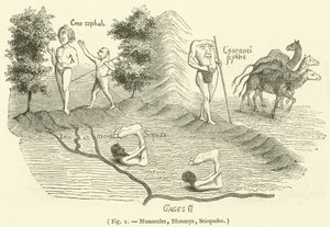 Monocules, Blemmys, Sciopodes (rycina) autorstwa French School