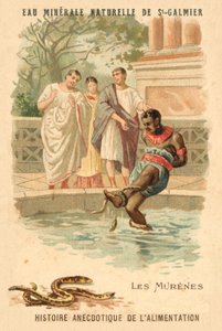 Mureny (chromolitho) autorstwa French School