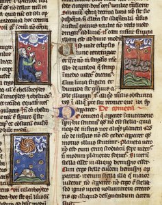 Ms 320 Fol.197 Komety, z „De Natura rerum” Thomasa van Cantimpre (1201-72) (welum) autorstwa French School