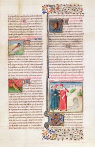 Ms 399 k. 149 Właściwości żółwia, dudka i nietoperza z „Livre des Proprietes des Choses” Barthelemy