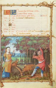 Ms 438 Miesiąc listopad: Zbieranie żołędzi, z Księgi Godzin, 1490 autorstwa French School