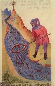 Ms 59 fol.3r Rybak, z Grand Herbier autorstwa French School