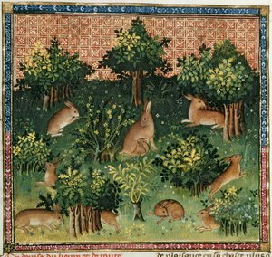 Pani Fr 616 fol.24v Zające w lesie, z Livre de la Chasse Gastona Phebusa de Foix (1331-91) autorstwa French School