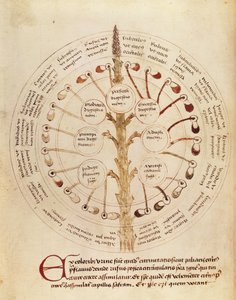 Pani Lat 11229 fol.19r Tabela do analizy moczu, z Petit Traite dhygiene et Medecine autorstwa French School