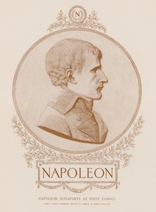Napoleon Bonaparte jako pierwszy konsul autorstwa French School