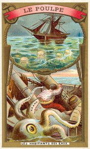 Ośmiornica (chromolitho) autorstwa French School
