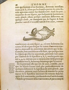 Schemat optyczny z De Homine Figuris Rene Descartes (1596-1650) opublikowany w Hadze, 1662 autorstwa French School