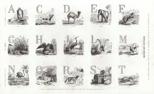 Strona z winiet typograficznych (grawerowanie) autorstwa French School