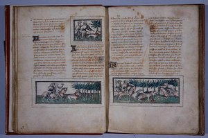 Strony 57 i 58, z Le Livre du Roy Modus et de la Royne Racio, Henri de Ferrieres, ok. 1420 (pióro i atrament i toaleta na papierze) autorstwa French School