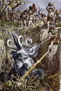 Paleolit: scena polowania na mamuta, plemię prehistorycznych ludzi rzuca kamieniami w mamuta wpadającego do dołu (czasy paleolitu: europejscy jaskiniowcy polujący na mamuta wpadli do dołu) Rycina z XIX wieku Zbiory prywatne autorstwa French School