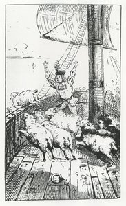 Owce Panurga, ilustracja z „Gargantua i Pantagruel”, autorstwa François Rabelais (rycina) autorstwa French School