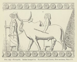 Persepolis, indyjski garbaty wół autorstwa French School