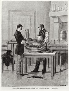 Fizycy eksperymentujący z torpedą, 2. poł. XIX w. (rycina) (zdjęcie czarno-białe) autorstwa French School