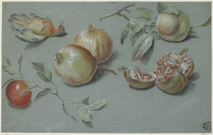 Granaty i Martwy Ptak, pocz. XIX w. (kreda na papierze) autorstwa French School