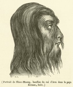 Portret Shwe-Maonga, błazna króla Avy w kraju birmańskim w Indiach (rycina) autorstwa French School