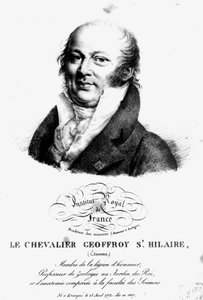 Portret Etienne Geoffroy Saint-Hilaire (1722-1844) autorstwa French School