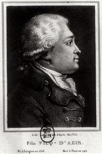 Portret Felixa Vicq dAzyra (1748-94) autorstwa French School