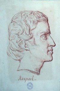 Portret Francois Vincent Raspail (1794-1878) (czerwona kreda na papierze) autorstwa French School